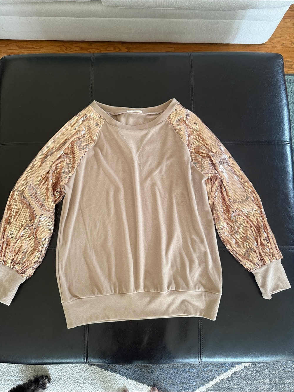 Sequin Raglan Sweatshirt in Taupe with Embellished Sleeves